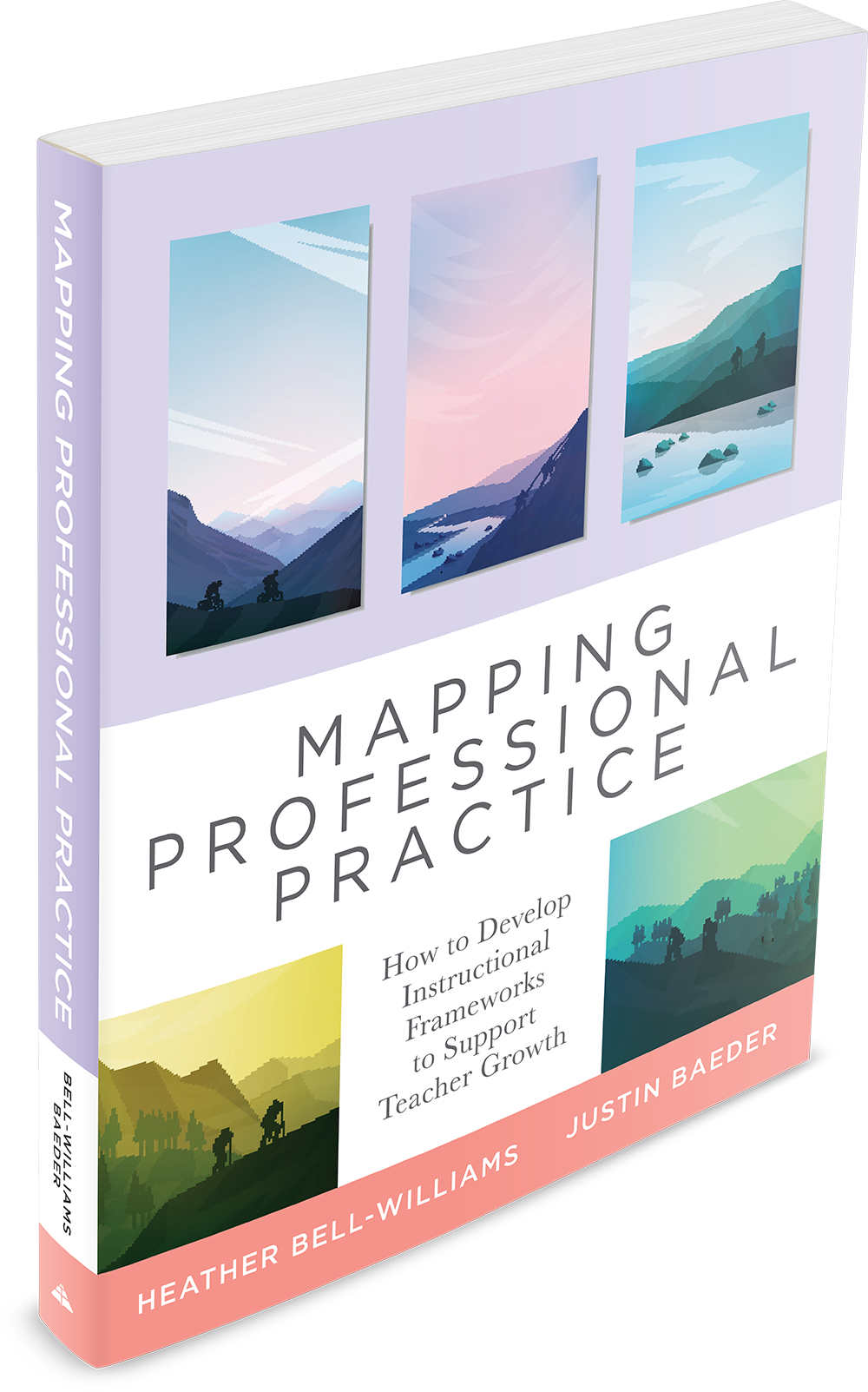Mapping Professional Practice book cover